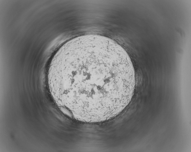 X0000112780339200910011302