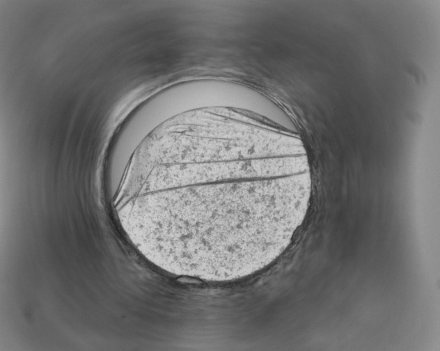 X0000112780340200910011302