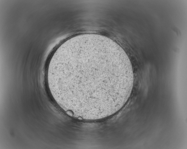 X0000112780342200910011302