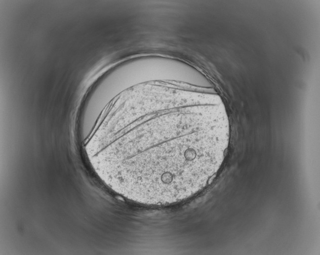 X0000112780344200910011302