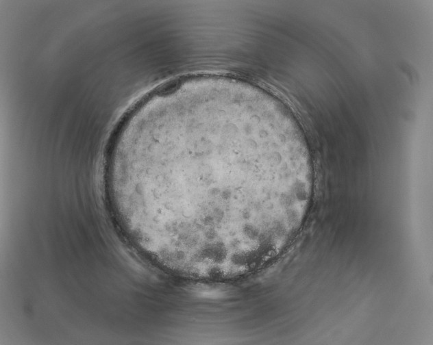 X0000112780346200910011302