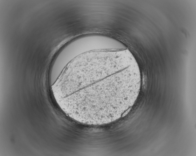 X0000112780348200910011302