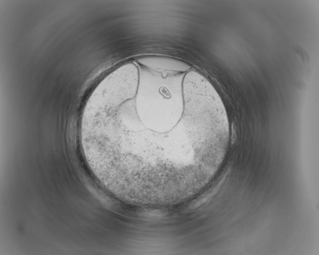 X0000112780349200910011302