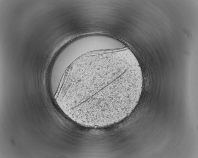 X0000112780350200910011302