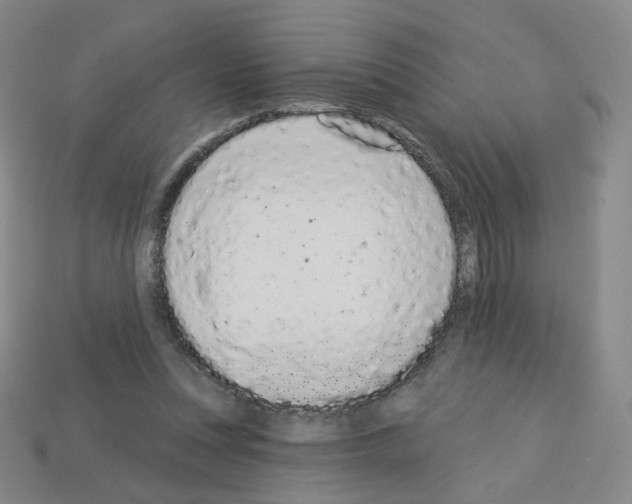 X0000112780351200910011302