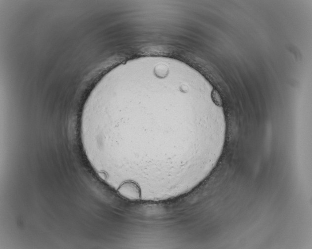 X0000112780353200910011302