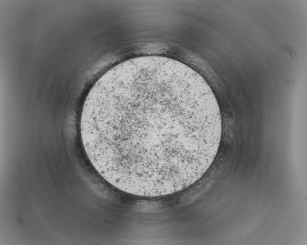 X0000112780354200910011302