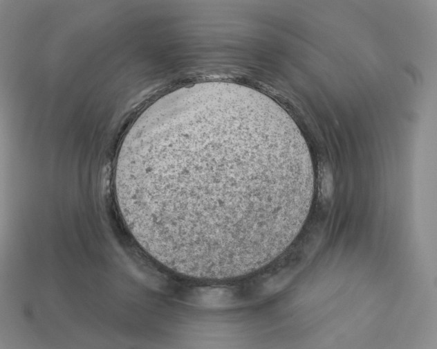 X0000112780356200910011302