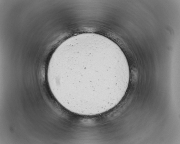 X0000112780358200910011302