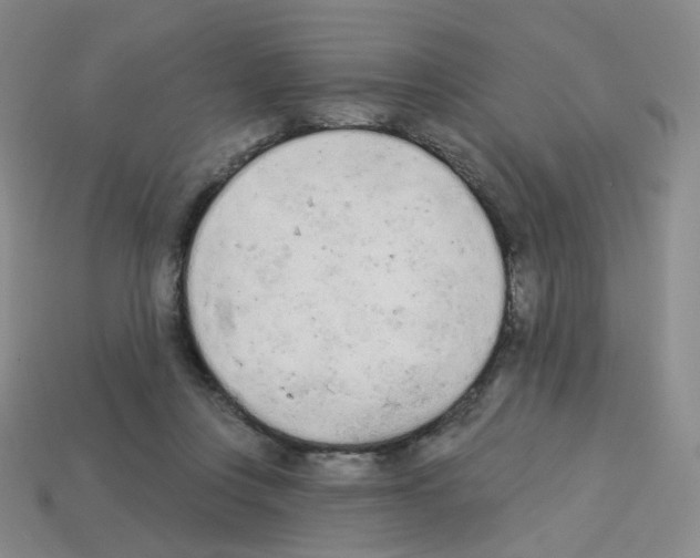 X0000112780359200910011302