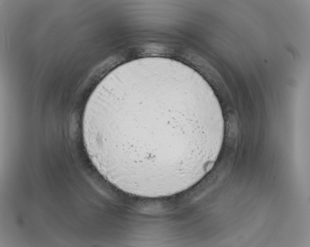 X0000112780361200910011302