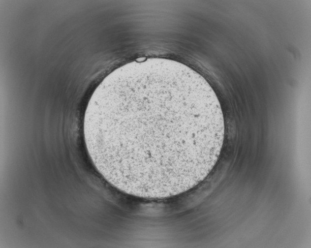 X0000112780362200910011302