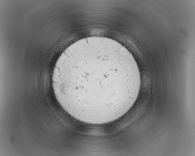 X0000112780363200910011302