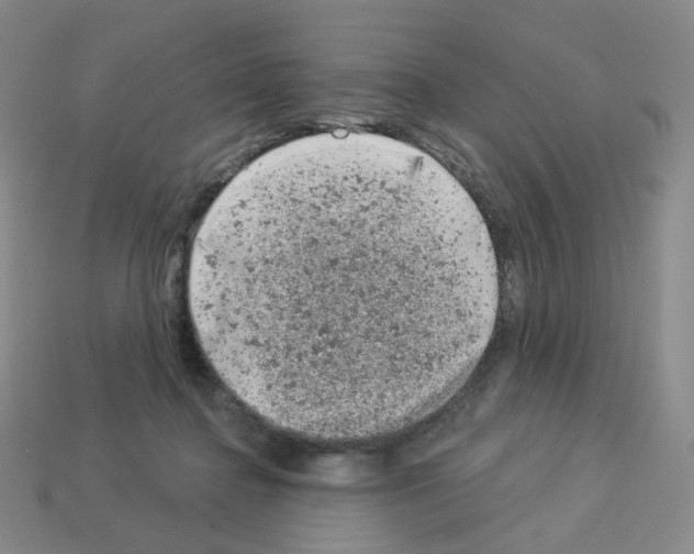 X0000112780364200910011302