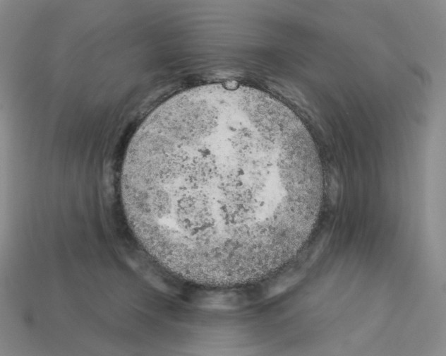 X0000112780366200910011302