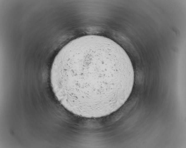 X0000112780367200910011302