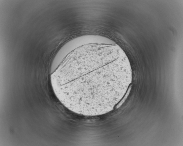 X0000112780368200910011302