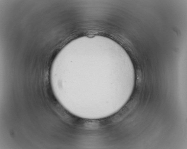 X0000112780369200910011302