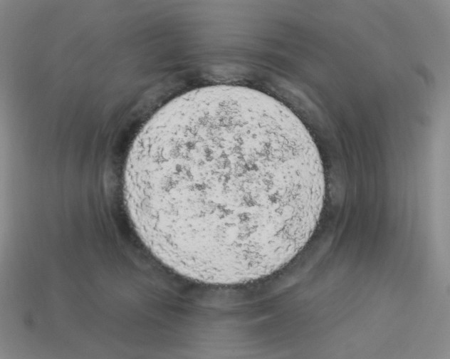 X0000112780371200910011302