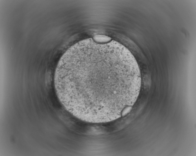 X0000112780372200910011302