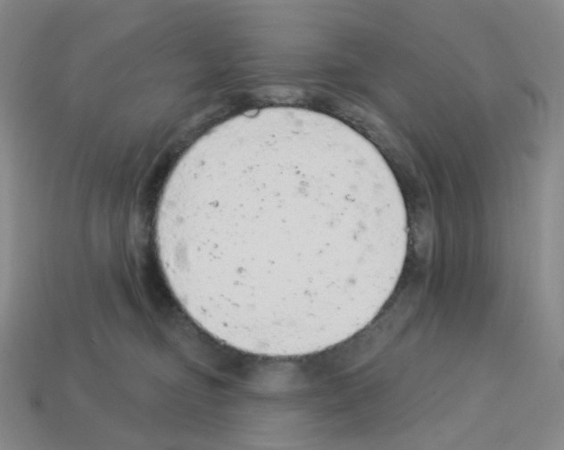 X0000112780374200910011302