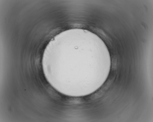 X0000112780377200910011302