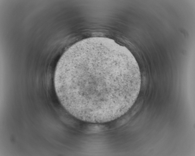 X0000112780379200910011302