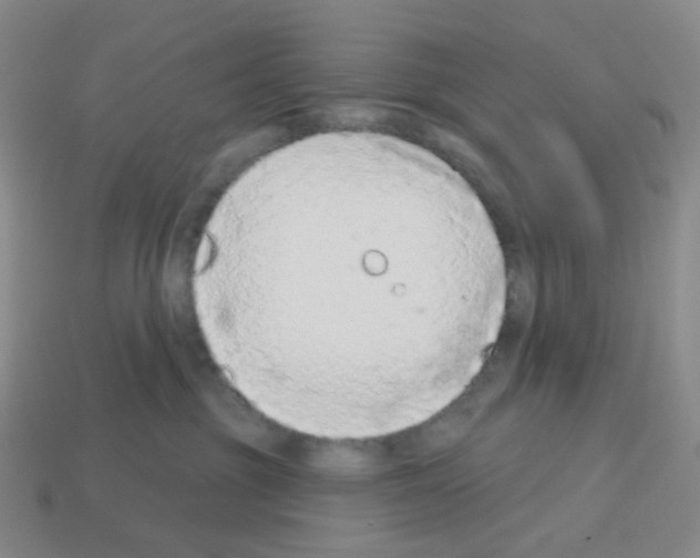 X0000112780381200910011302