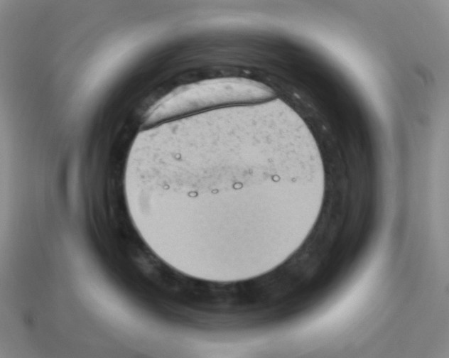 X0000112780382200910011302