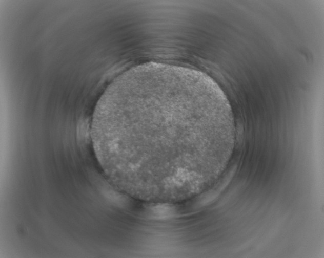 X0000112780383200910011302