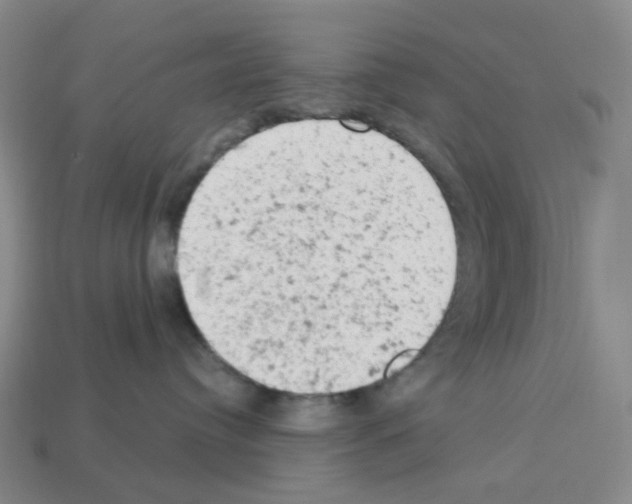 X0000112780384200910011302