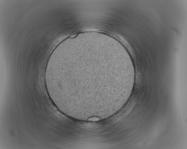 X0000112780385200910011302