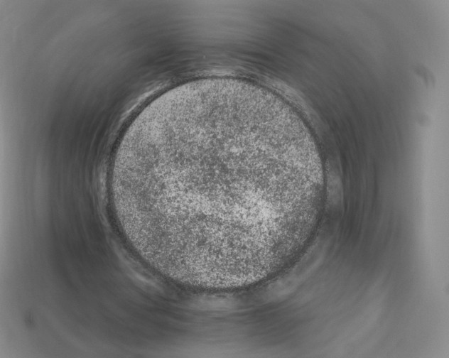 X0000112780386200910011302