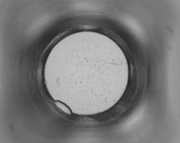 X0000112780387200910011302