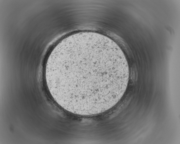 X0000112780388200910011302