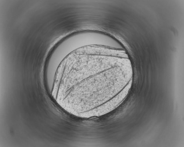 X0000112780391200910011302