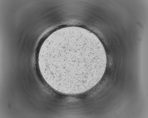 X0000112780392200910011302