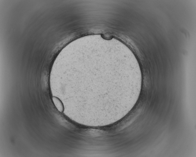 X0000112780393200910011302