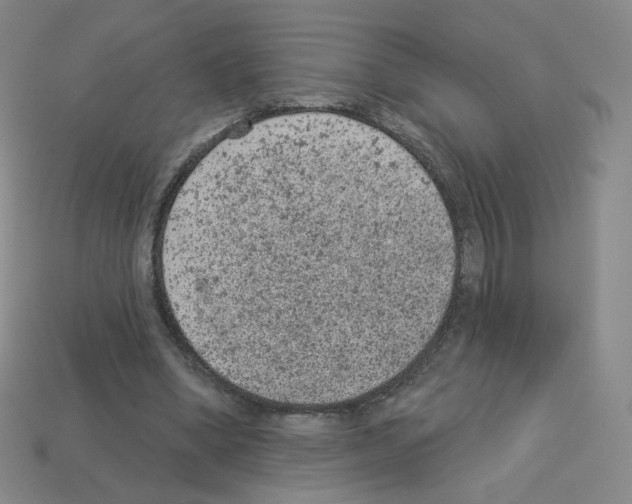 X0000112780394200910011302