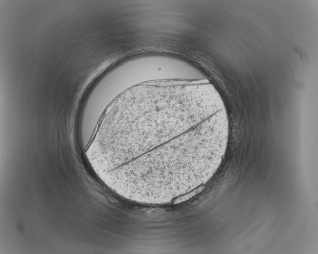 X0000112780395200910011302