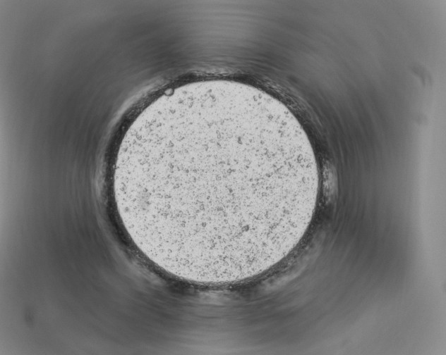 X0000112780396200910011302