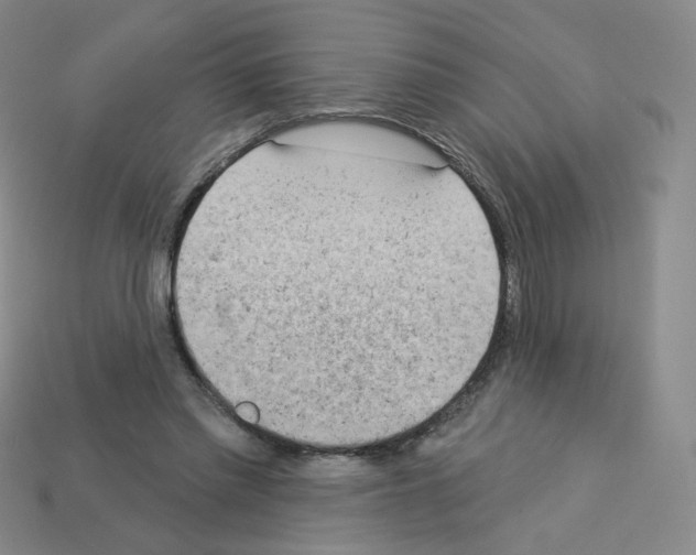 X0000112780397200910011302