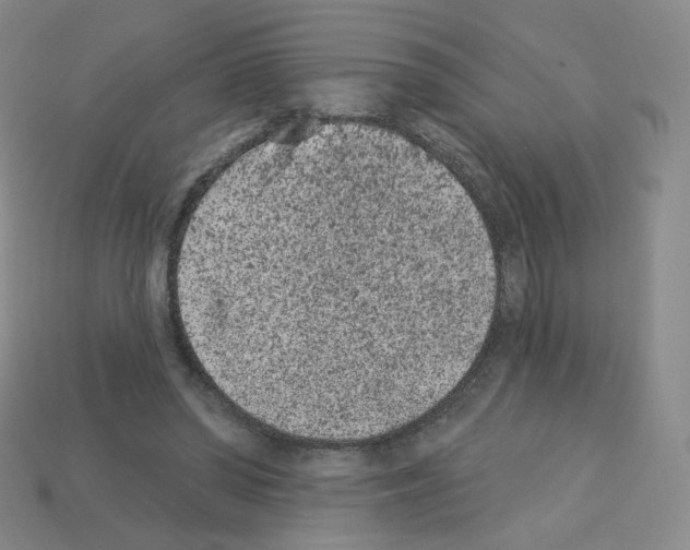 X0000112780398200910011302