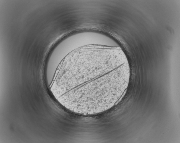 X0000112780399200910011302