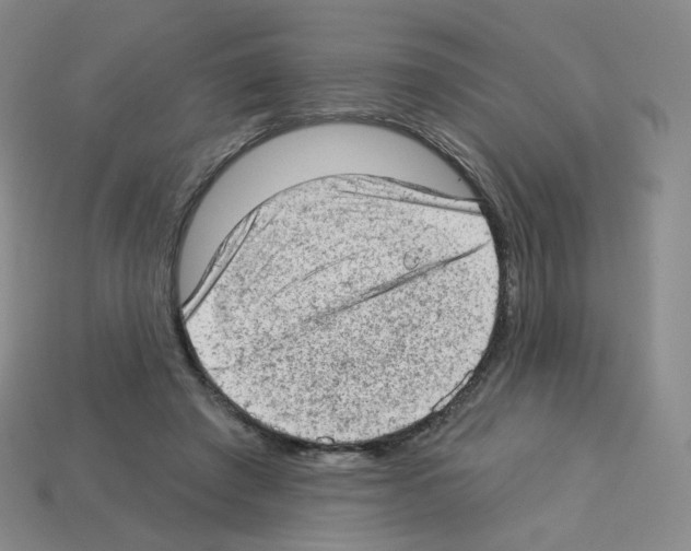 X0000112780401200910011302