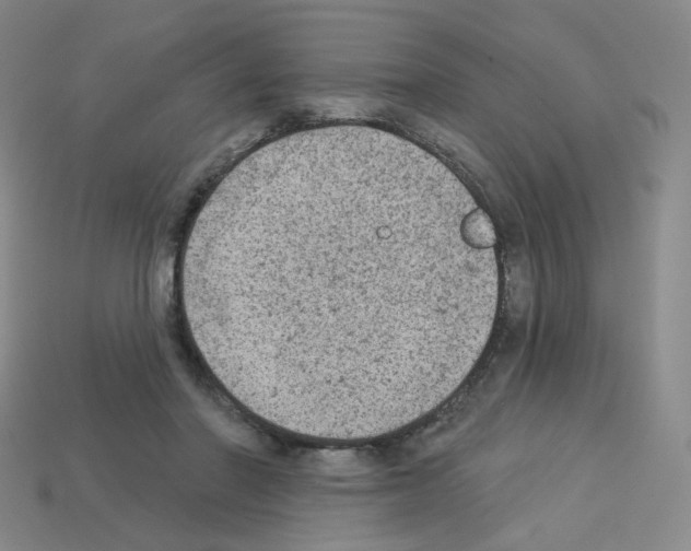 X0000112780406200910011302