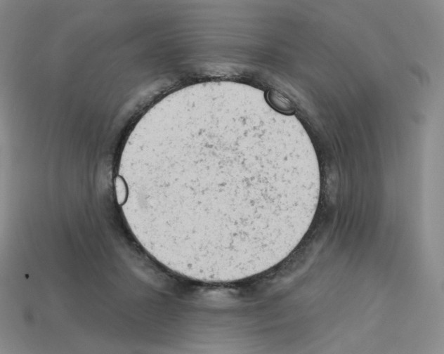 X0000112780407200910011301