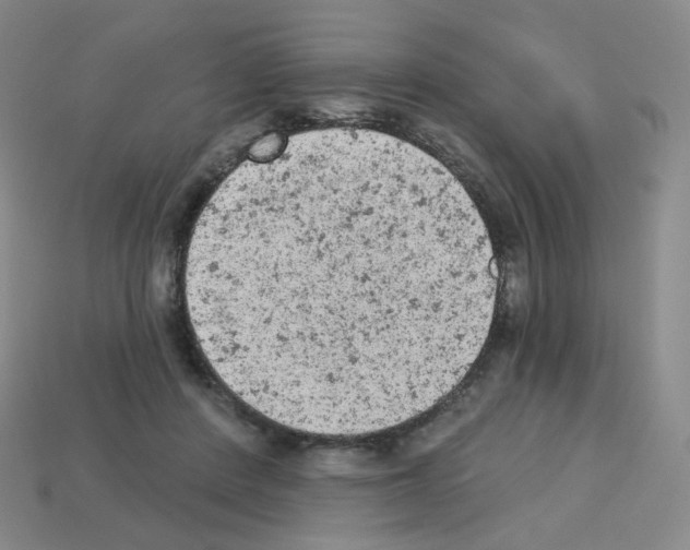 X0000112780408200910011301