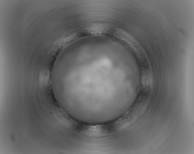 X0000112780411200910011301