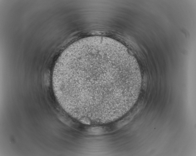 X0000112780413200910011301